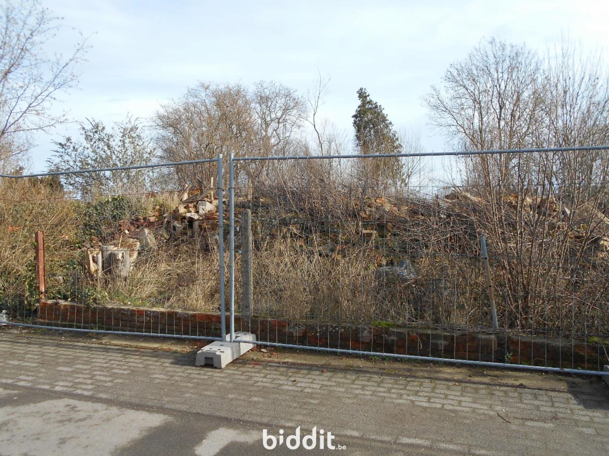 photo 4 du bien 181239