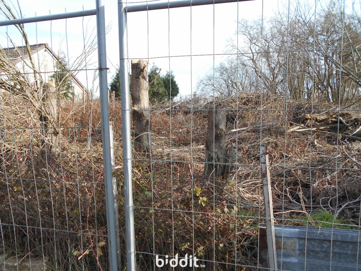 photo 6 du bien 181239